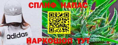 амф Будённовск