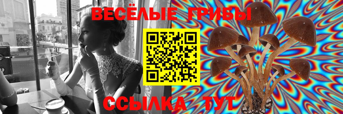 Псилоцибиновые грибы прущие грибы Новокубанск