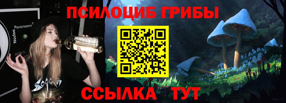 Галлюциногенные грибы Cubensis  Вход с VPN  Новокубанск  Псилоцибиновые грибы прущие грибы 
